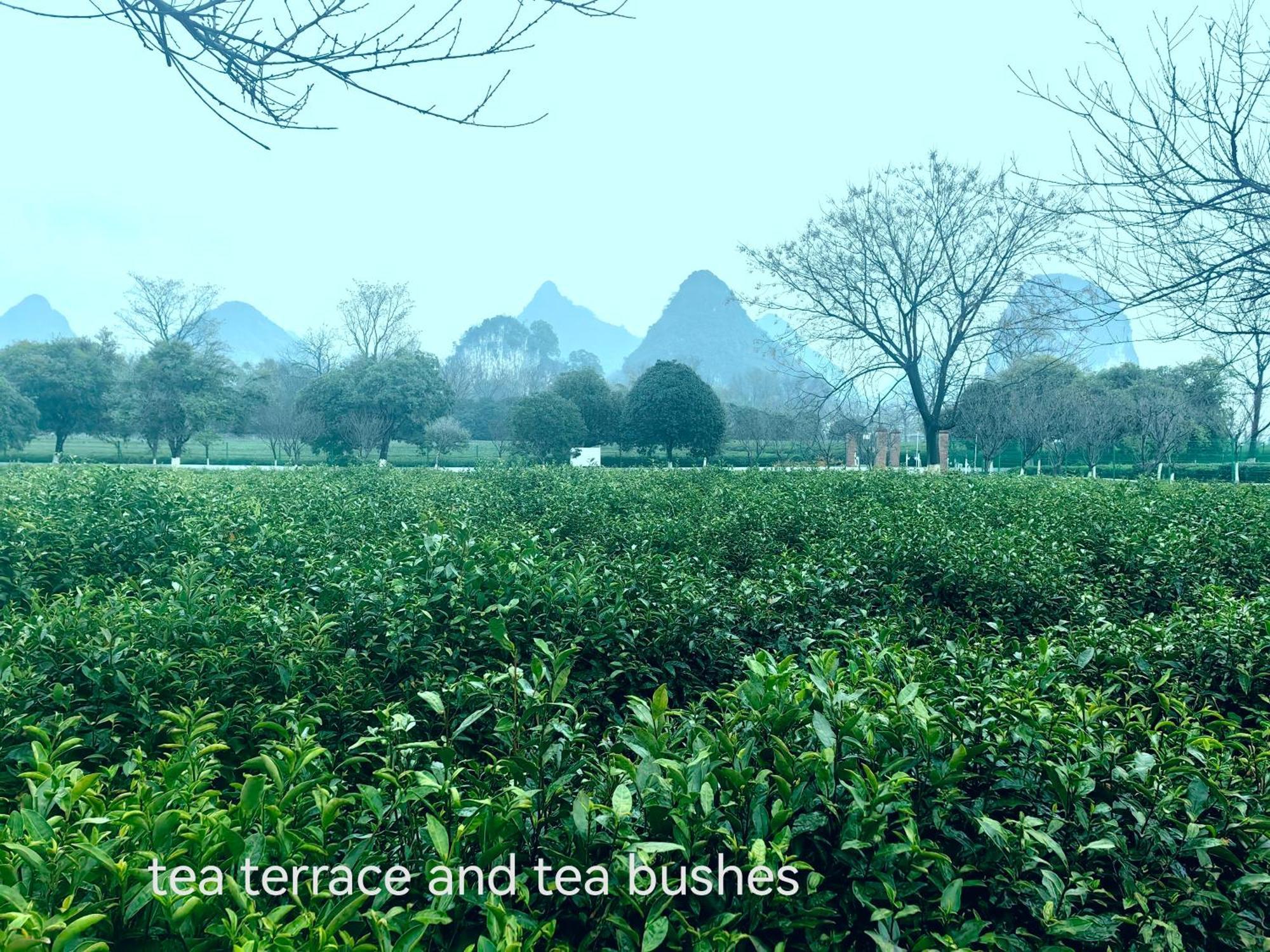 Guilin Village Creek Inn-Free Private Car Pick Up Station Stay 3 Nights المظهر الخارجي الصورة